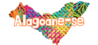 portalalagoanese.com